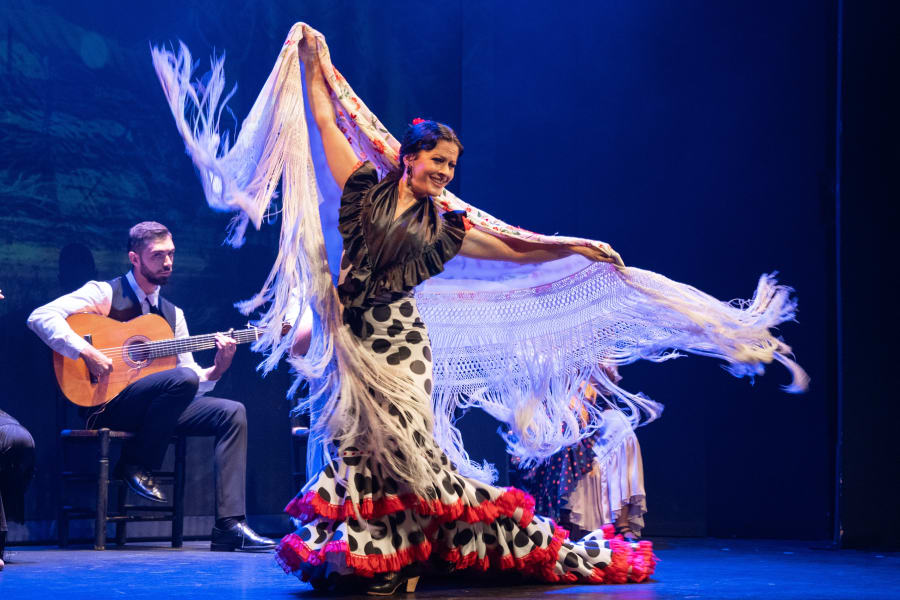 Flamenco performer and musicians during Flamenco Dance Class & Performance in Madrid