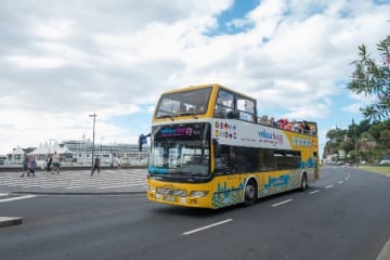 Atividades para Fazer com Crianças no Funchal