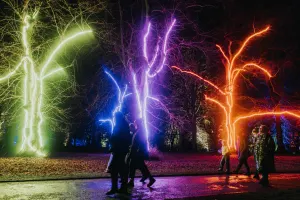 Chelsea Winter Illuminations