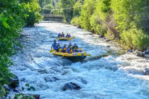 Gold Rush Rafting and Zipline Package
