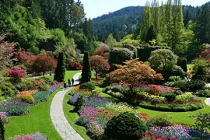 Vancouver Victoria + Butchart Gardens Tour