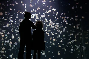 Vancouver Aquarium - Admission