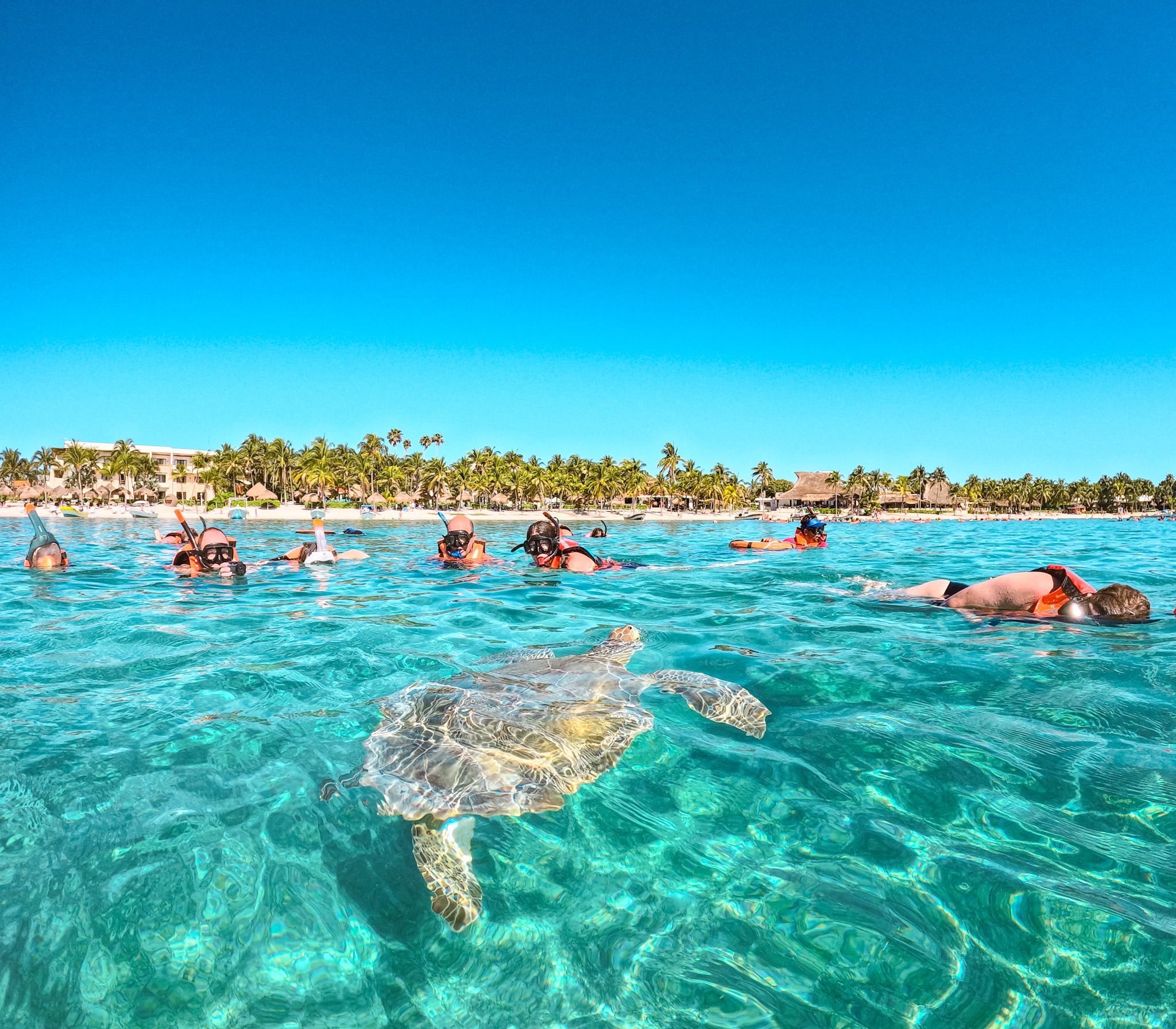 Ruinas de Tulum, tortugas, cenote y snorkel en cuevas