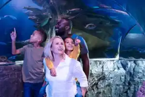 SEA LIFE Aquarium - New Jersey