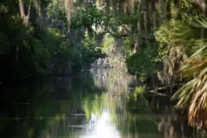 New Orleans Small Airboat Ride