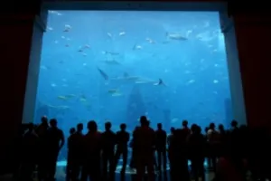 Dubai Aquarium and Underwater Zoo
