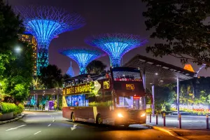 Singapore Christmas Light-Up Bus Tour