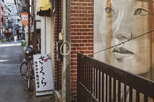 Absorb the different subcultures