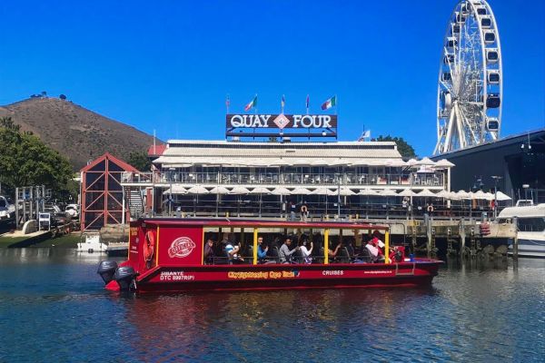 Harbour Cruise and wine tasting in Waterfront, Cape Town – Go Mojo Tours