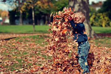 Enjoy a picnic on a blanket of fallen leaves at these top Autumn Picnic Spots in Cape Town