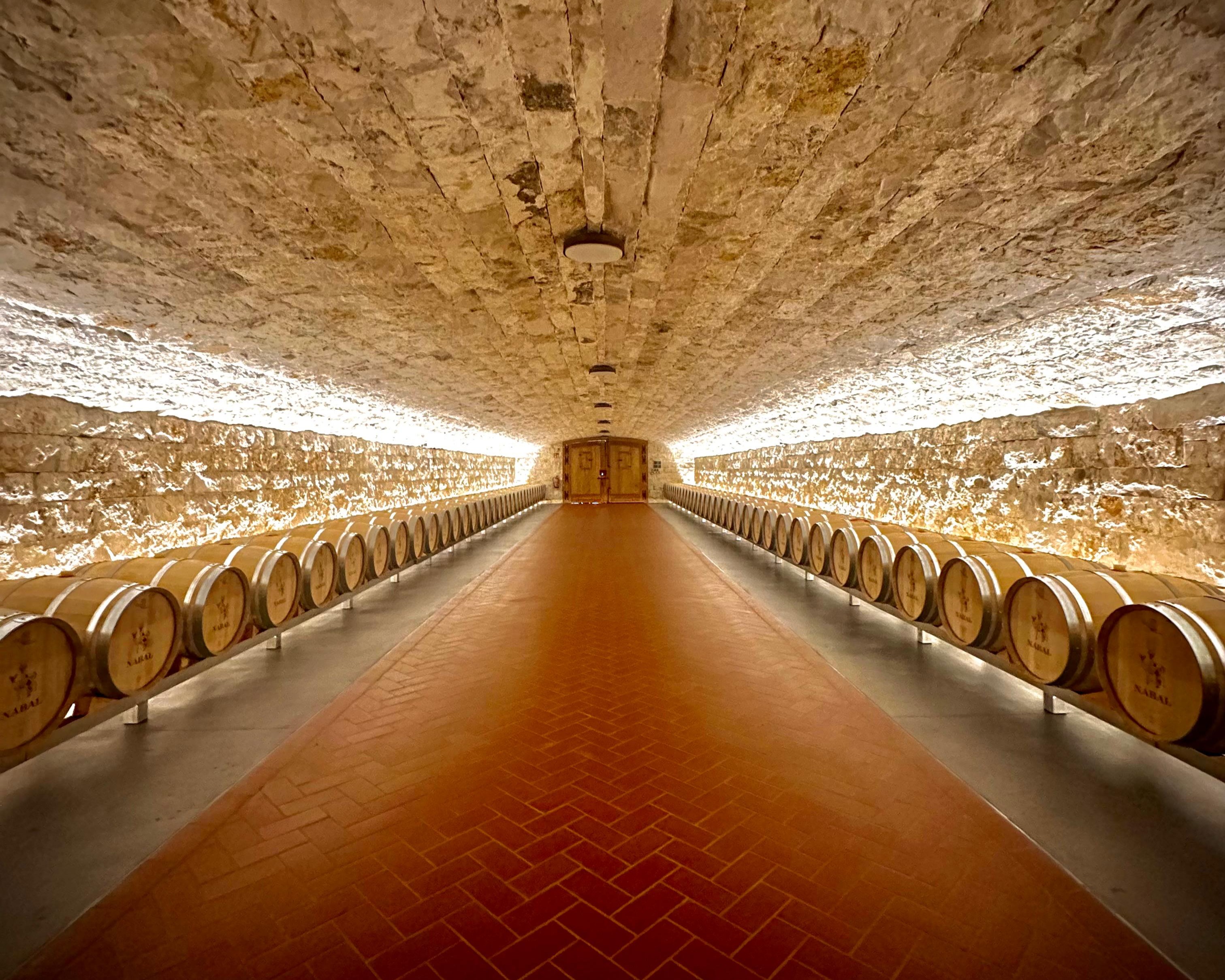 Private Tour to Ribera del Duero Wine & Food Day Trip from Madrid