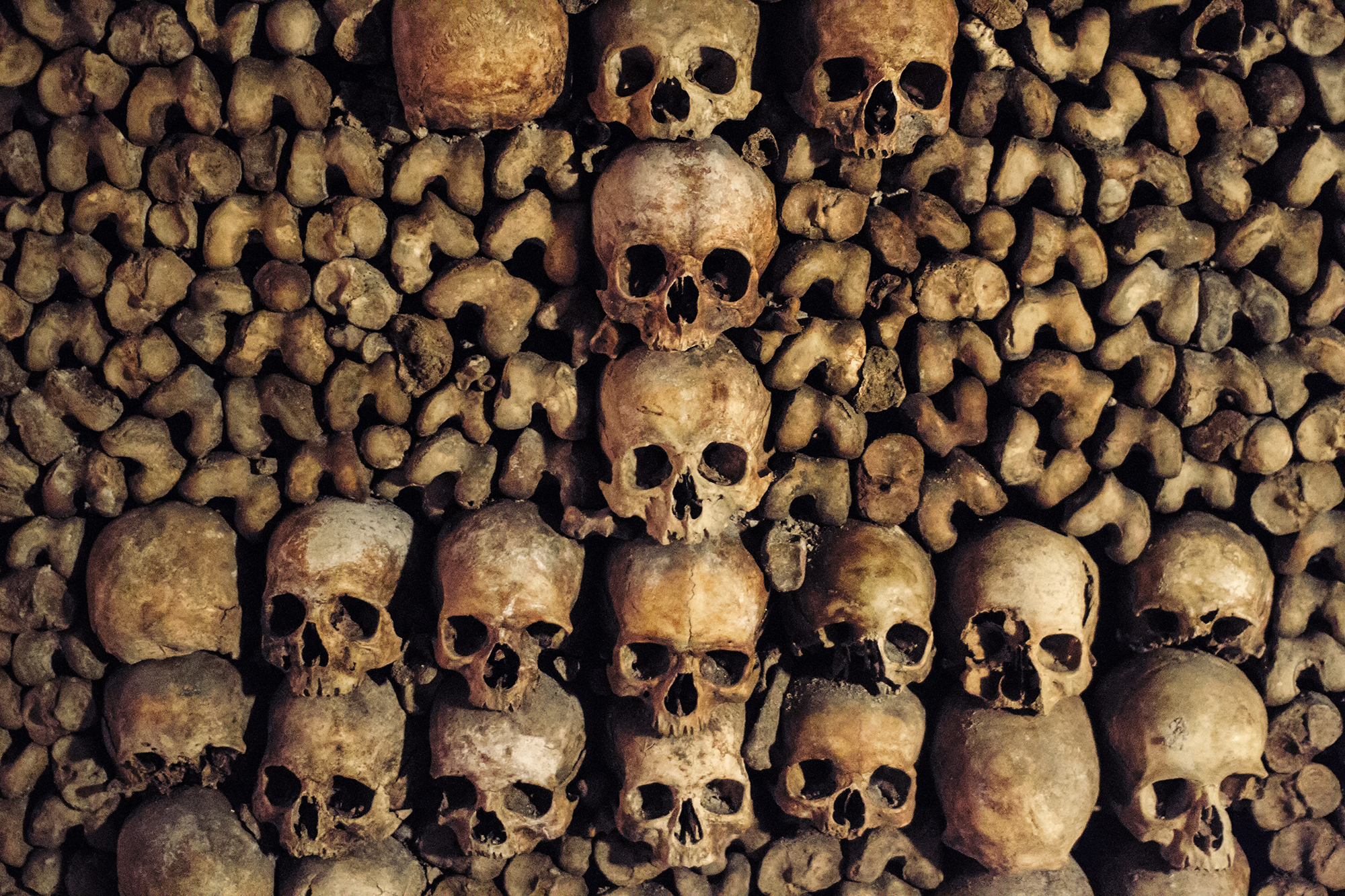 Skip-the-Line Paris Catacombs Special Access Tour in Small Group - Alojamientos en Paris