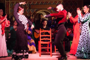 Flamenco show Torres Bermejas