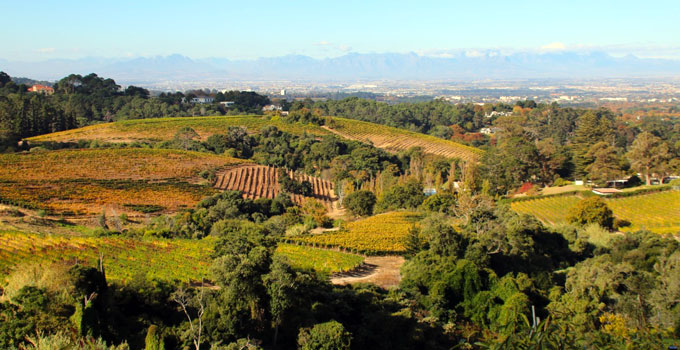 beau constantia wine prices