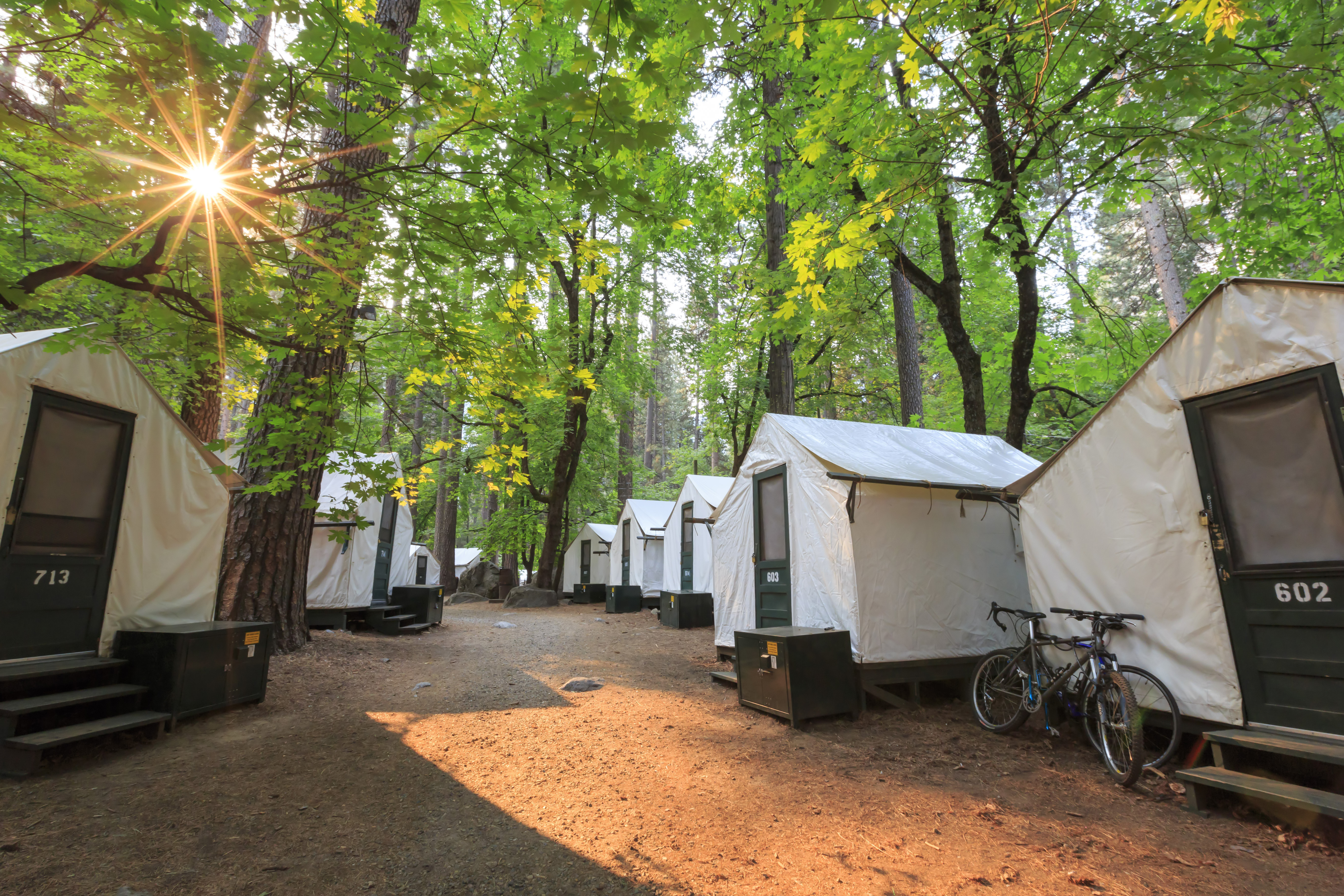 Yosemite Tour With Tent Cabin Stay