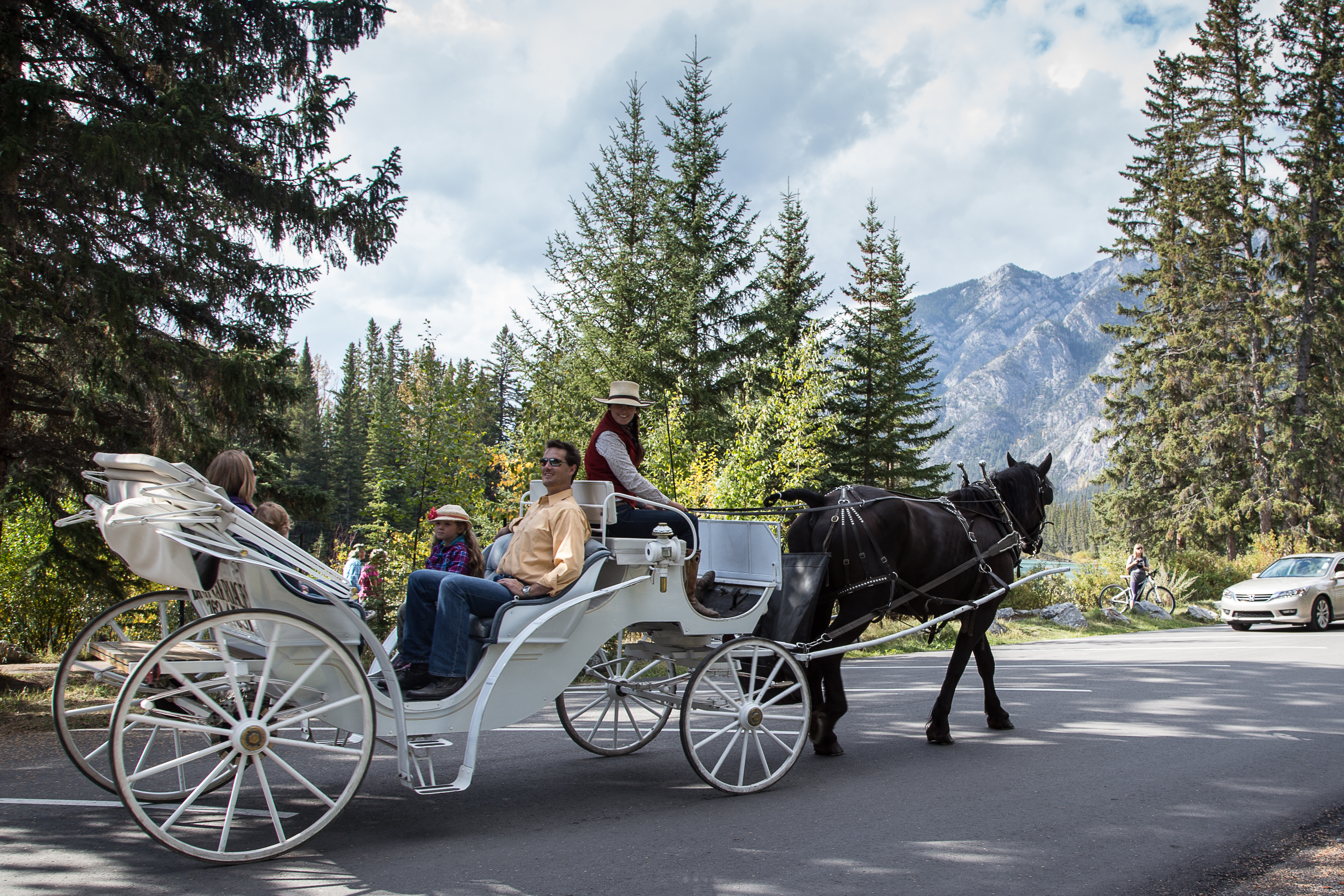 Private Carriage Rides | Banff Trail Riders | Official Website